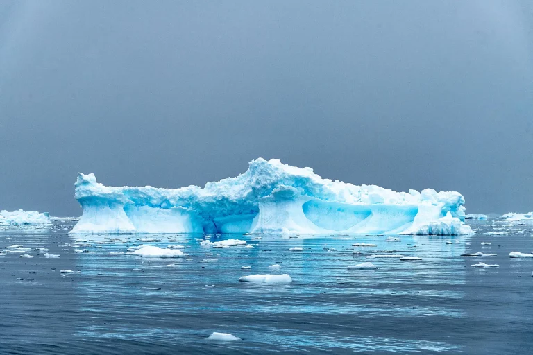 12D11N : Emblematic Antarctica