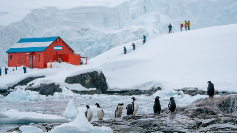 18D17N Antarctic Circle Expedition