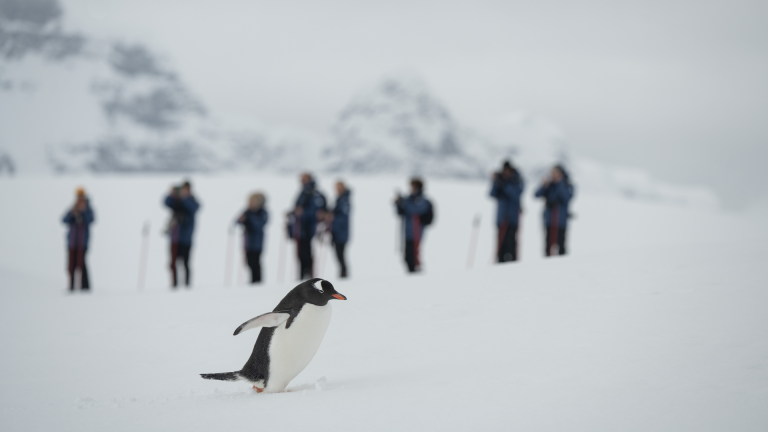 18D17N Antarctic Circle Expedition
