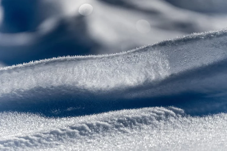 13D12N : The Geographic North Pole