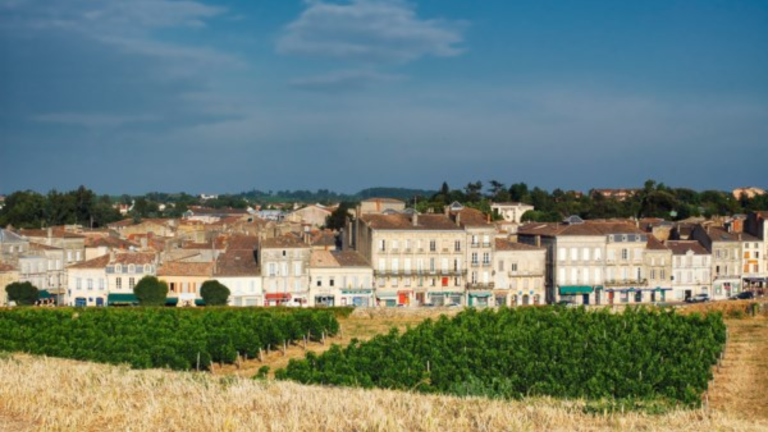 8D7N Brilliant Bordeaux (Bordeaux –  Bordeaux)