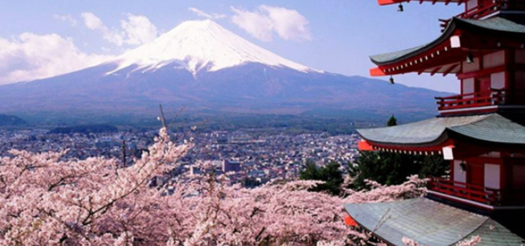10D09N ASIA: Kochi, Jeju & Nagoya