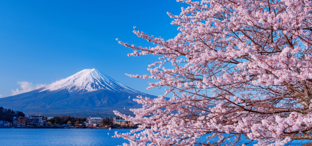8D7N : Japan Bespoke Voyage 2A (Yokohama – Busan)