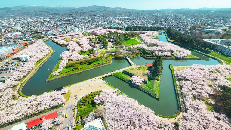 12D11N Circle Japan Cherry Blossoms (Roundtrip from Tokyo (Yokohama), Japan)