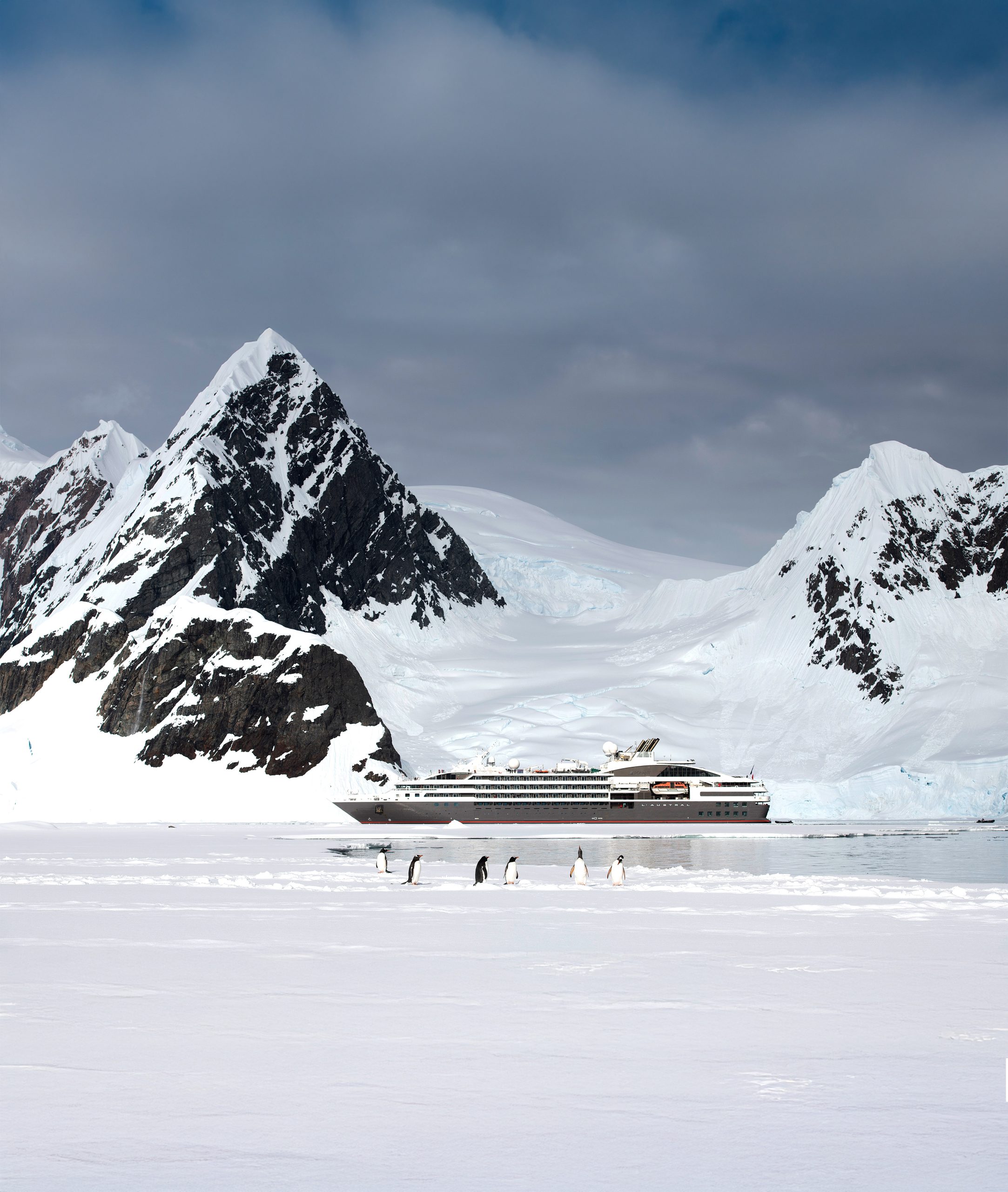 ANTARCTIQUE-MANCHOTS PAPOUS©StudioPonant-Sylvain ADENOT_EDITED