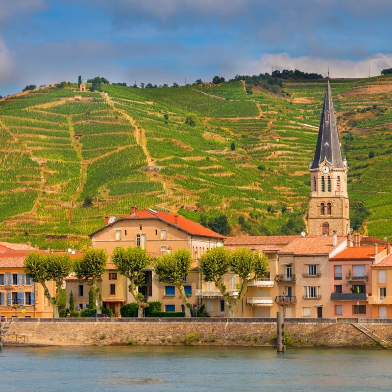 8D Burgundy & Provence