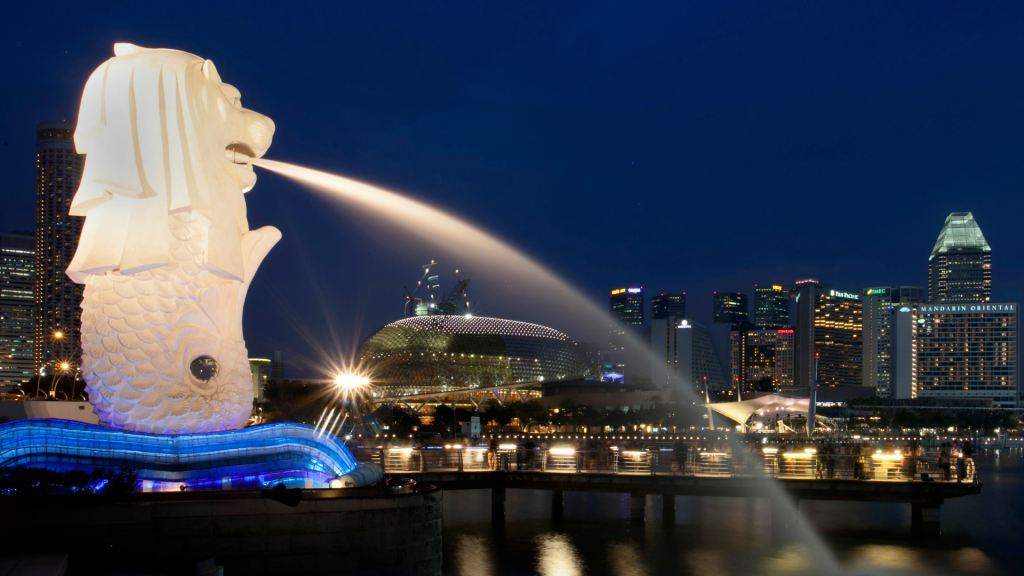 31D30N Singapore to Cape Town (Asia & Africa Mariner)