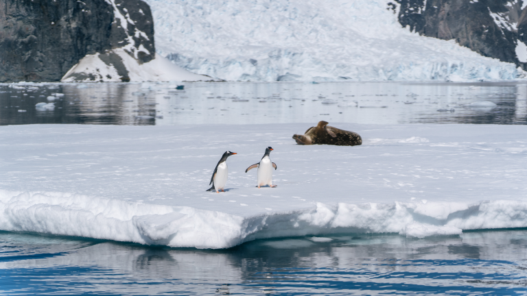 16D15N Iconic Antarctica – The Explorer’s Route