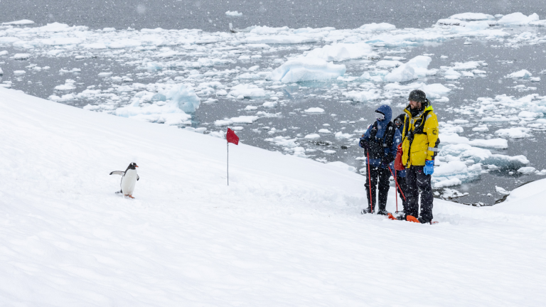 16D15N Iconic Antarctica – The Explorer’s Route