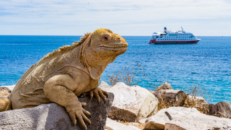 12D11N Galápagos Islands – In Darwin’s Footsteps Plus Machu Picchu