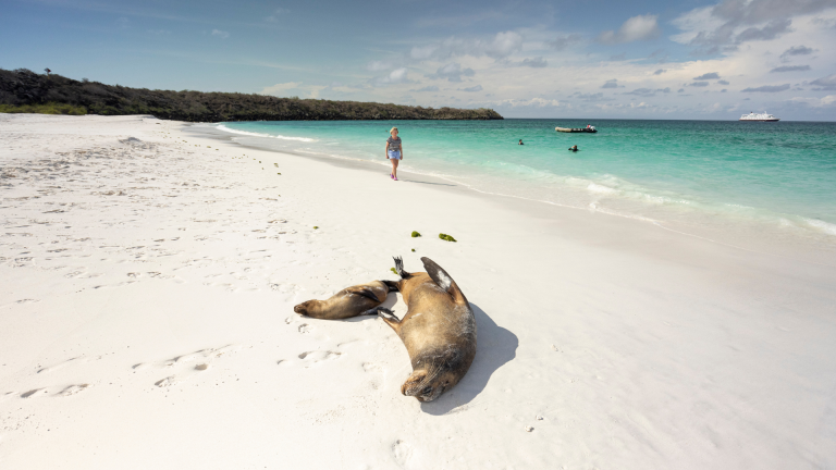 12D11N Galápagos Islands – In Darwin’s Footsteps Plus Machu Picchu