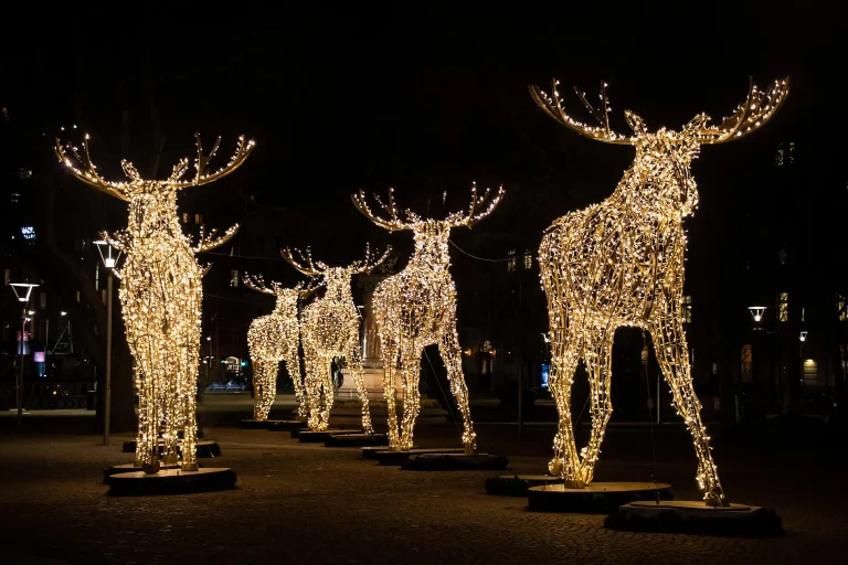 10D9N : Baltic Bliss & Winter Wonders