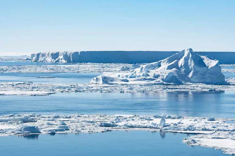 14D13N : Emperor Penguins of The Weddell Sea