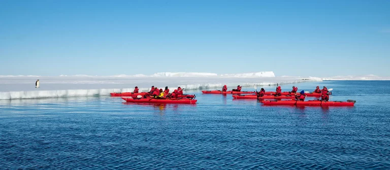 14D13N : Emperor Penguins of The Weddell Sea
