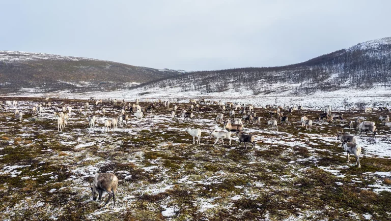 9D8N : Polar Lights: From North Cape to the Lofoten Islands