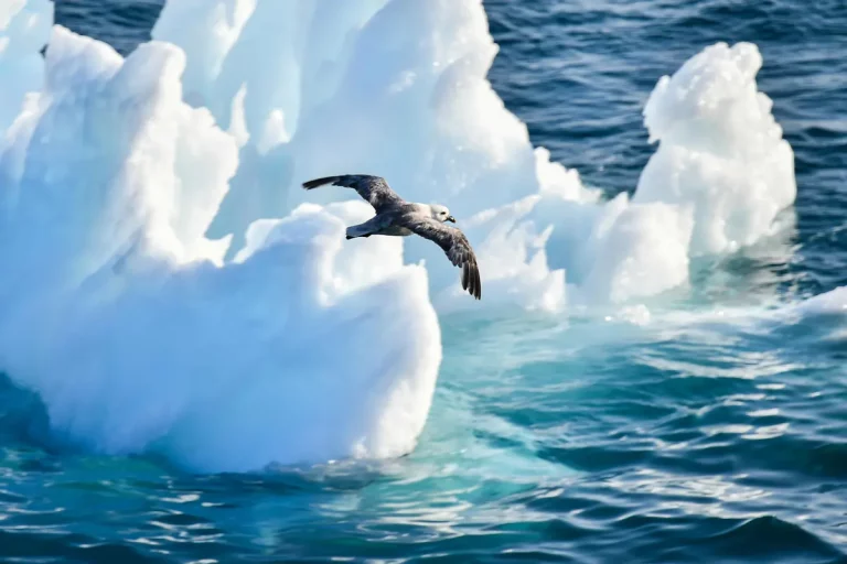 8D7N: Disko Bay and Inuit villages