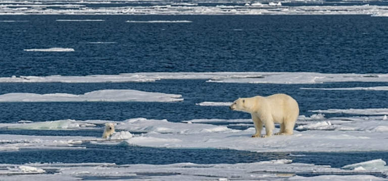 20D19N : In the heart of the Northwest Passage