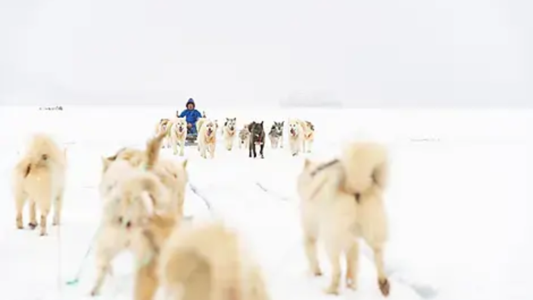 20D19N : In the heart of the Northwest Passage