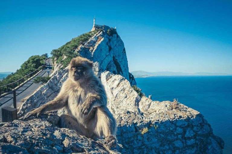 15D14N Mediterranean Odyssey: Spain, Portugal & Morocco