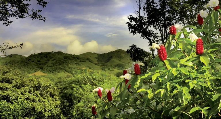 8D7N : Central America Jewels & Panama Canal