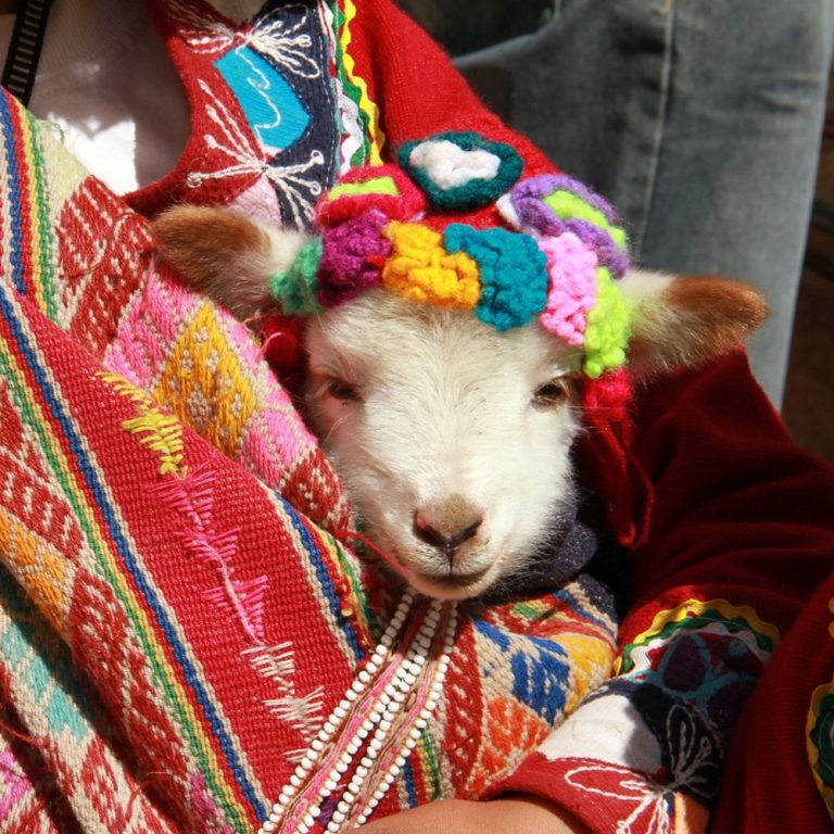 11D10N From the Inca Empire to the Peruvian Amazon