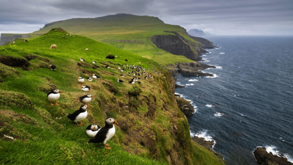11D10N : Wild lands of Scotland, the Faroe Islands and Iceland