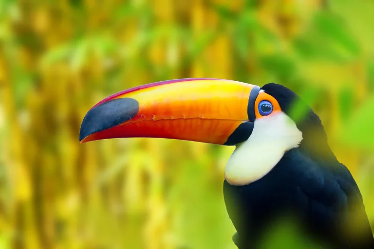 8D7N : Central America Jewels & Panama Canal