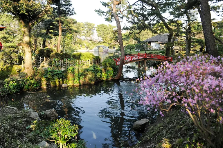 9D8N Treasures of Japan and South Korea by Sea