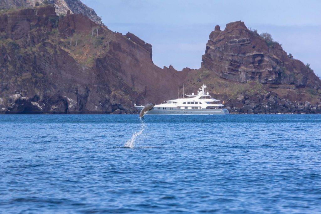 8D7N Wild Galápagos: Western Islands Expedition