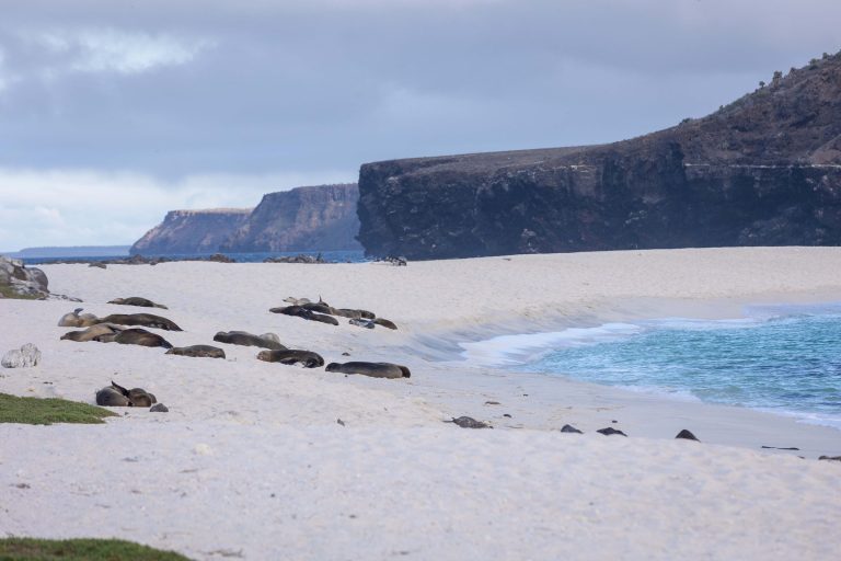 Galápagos Landscape