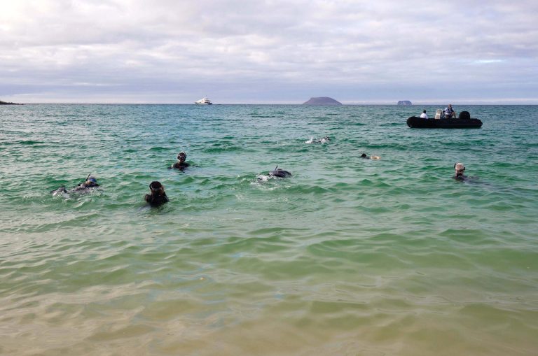 Galápagos Snorkeling
