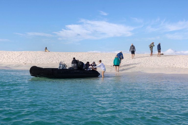 Galápagos Tender Excursion
